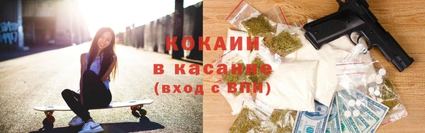 spice Богородицк